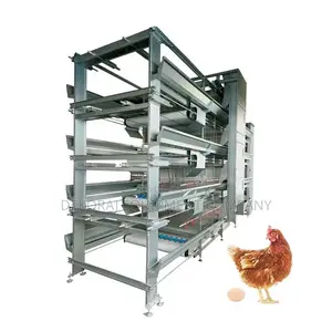 Automated Cage System for 10,000 Birds: All-in-One