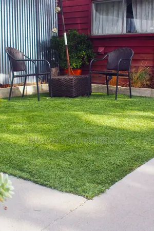 Carpet Grass