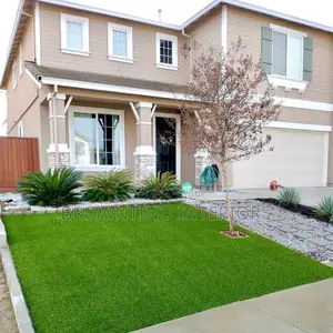 Carpet Grass