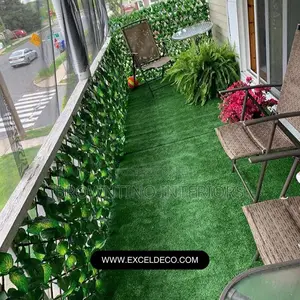 Carpet Grass