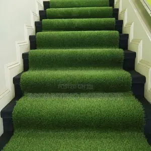 Carpet Grass