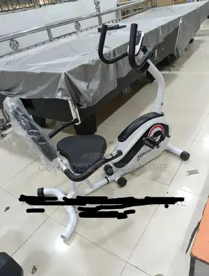 Big Recumbent Exercise Bike