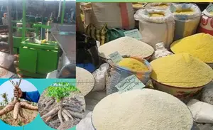 Fast Quality Garri Production At 200kg/Hr Complete Machine