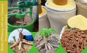 High Output Garri Machine Of 200kg/Hr And 60bags Of 50kg/Day