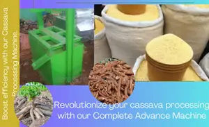 200kg/Hr Complete Garri Processing Machine Fast Reliable