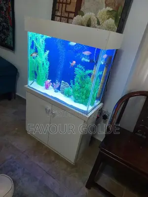 Luxury Aquarium