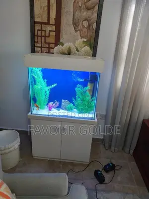Luxury Aquarium