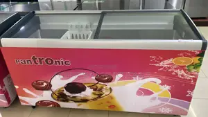 Pantronic 600L Display Showcase Freezer SCSD-P600A