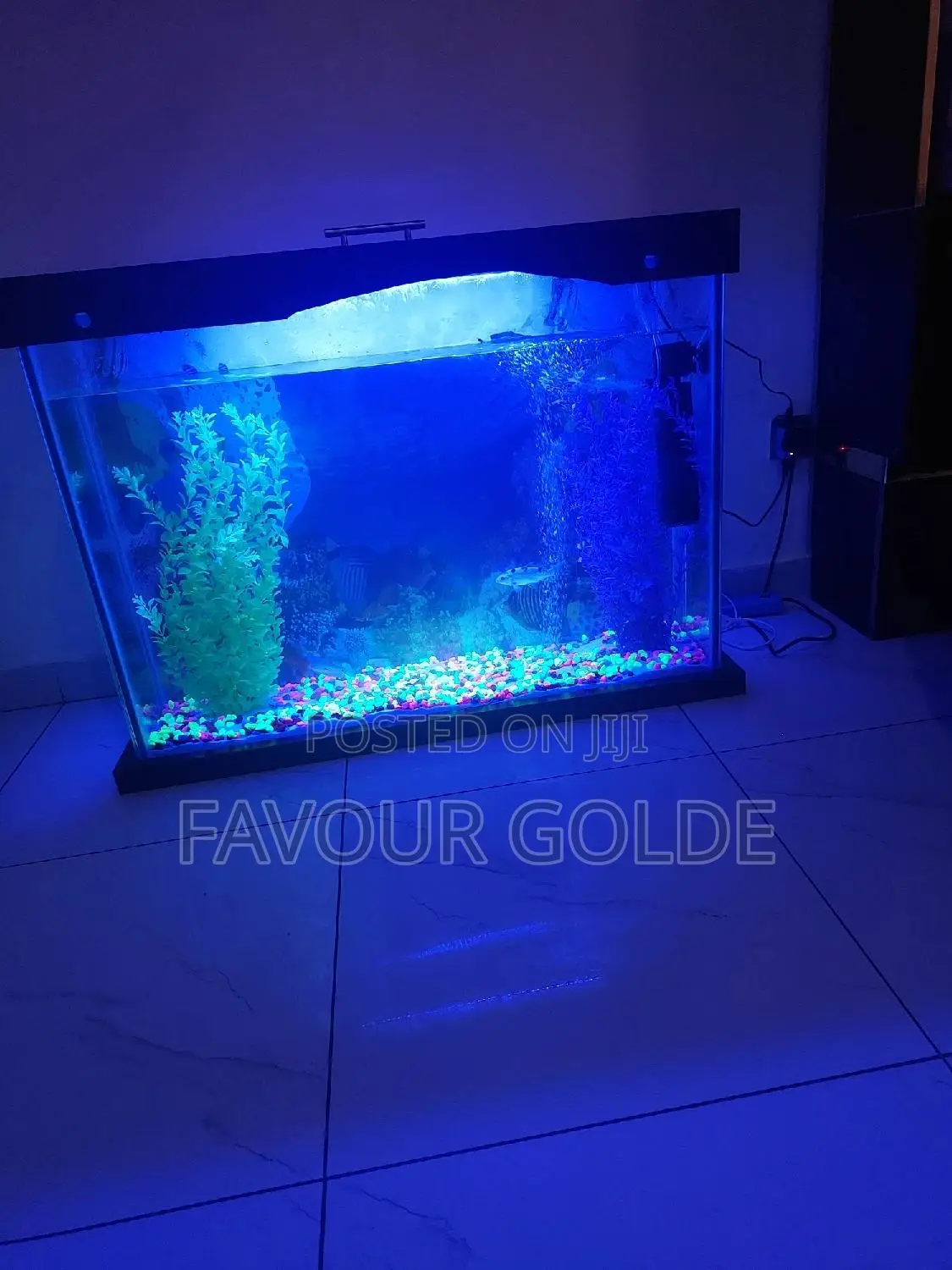 Indor Aquarium