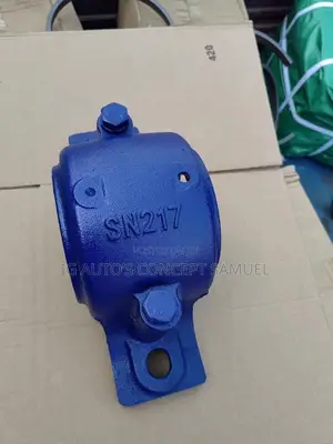 Original SKF Bearing Housing SN217 Available