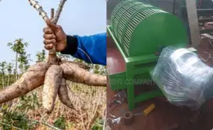 Unmatched Efficiency: 200kg in One Hour Garri Processing