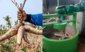High-Speed Garri Machine: 200kg/Hr for Top Producers