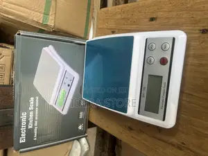 Digital Electronics Kitchen Scale