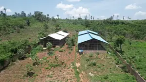 Farms for Sale Gazetted and Survey Plan