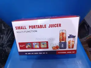 Small Portable Juicer
