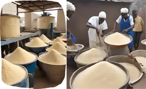 Top-quality Garri Processing Machines 200kg/Hr