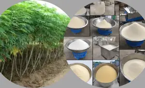 Efficient Garri Processing Complete Machine