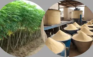 High-quality Garri Production At 60 Bags Daily