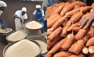 High-Efficiency Garri Machines by Dekoraj