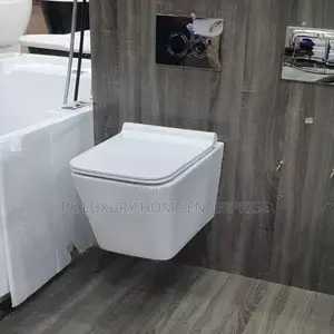 England Standard Conceal Wc(Wall Hang)