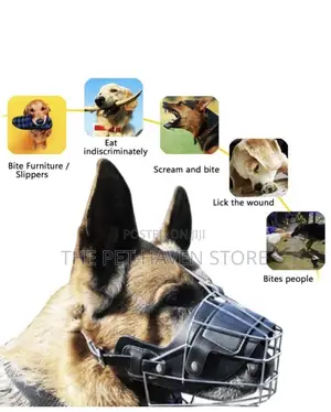 Dog Muzzle