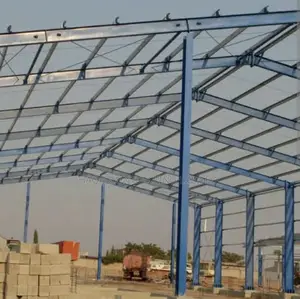 Warehouse Steel Construction Expert With 20 Years Experience