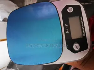 Digital Electronic Kitchen Scale