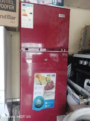 Nexus Inverter Standing Fridge Double Door 3 Years Warranty