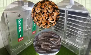 Dry Fish And Crops Fast With Our Type-b 200kg Oven