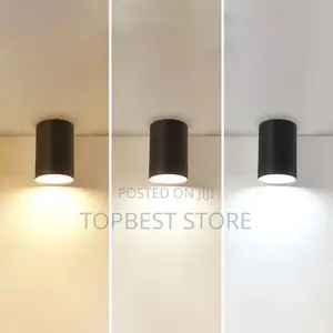 Interior Decor Cylinder Aluminum Flush Mounted Lamp