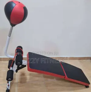 Sit Up Bench With Speed Ball