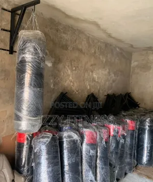 Punching Bag and Hanger