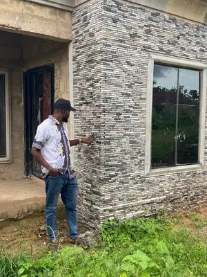 Proffesional House Paintings/Interior Design