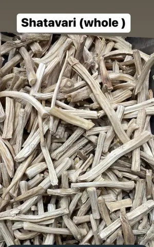 Shatavari Organic Root Known Also Asparagus Racemosus 250g