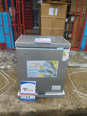 Snowsea 150L Freezer