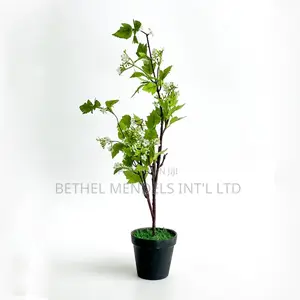 Artificial Plant/Flowers | Tabletop Mini Plants for Sales