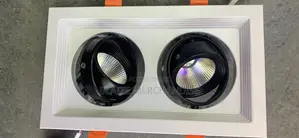 2 in 1 Spot Light Double Spot Light