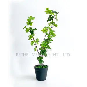 Artificial Plants/Flower | Potted Mini Tabletop Plant