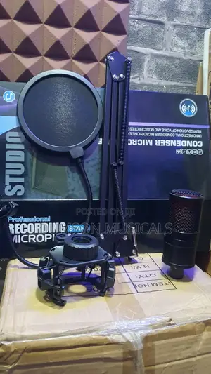 Studio Condenser Microphone With Boom Amp Completes Set