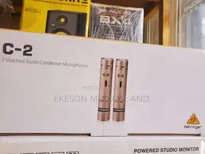 Behringer C2 Condesser Mic