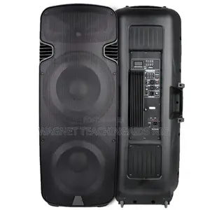 15-inch Double Speakers Classic Audio PAS