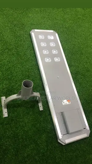 Felicity D2 60w Street Light