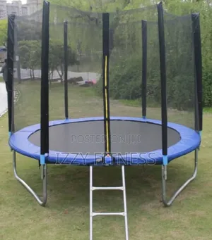 Trampoline With Ladder  10ft