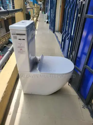 Original Back to Wall Wc