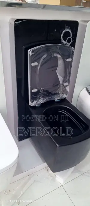 Black Conceal Water Closet With Complete Accessories