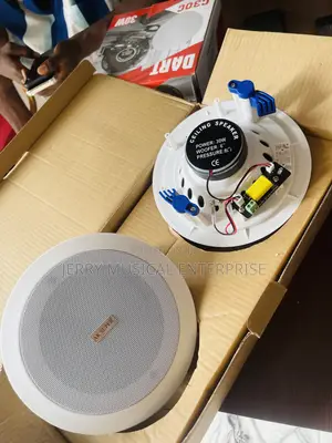 2in1 30watts Bluetooth Ceiling Speakers