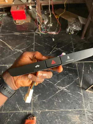 Pointer Highlander Hazad Switch