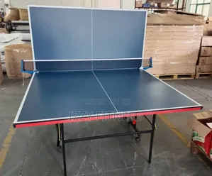 Outdoor Table Tennis Board Water Resistant