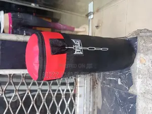 Evrlast Punching Bag