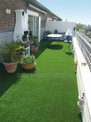 Carpet Grass
